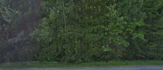 230 kvadratmeter stor villa i Ånäset såld för 350 000 kronor