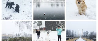 Nu har första snön kommit – klass 1-varning utfärdad • Se läsarnas bilder 