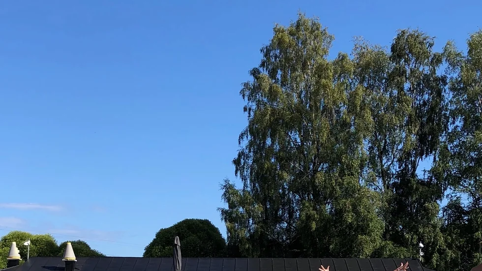 En bild av sommarglädje.