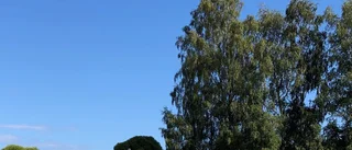 Läsarbilden; sommarglädje i badet