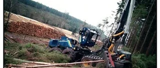 Skydda Skogen efterlyser större hänsyn från bolagen
