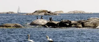 Miljökrock vid Marviken