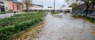 Nya parken blir utan scen och kafé