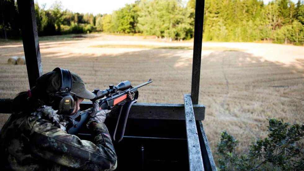 En enkät som forskaren Mensura Junuzovic har gjort bland 1 000 jägare visade att ungefär en fjärdedel varit med om olika incidenter. Arkivbild.