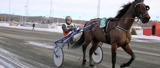 Travtipset: "Spikar i första omgången"