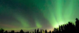 Vackert norrsken över Rosvik