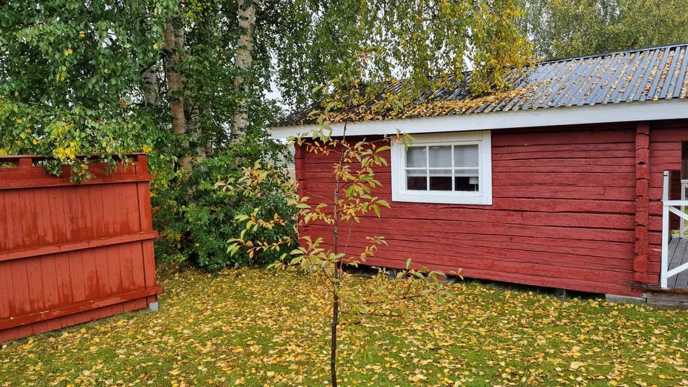 Anki Näckstam bjuder på en fin höstbild.