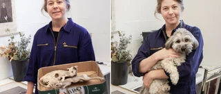 Döda katter och en levande hund – Anna tar oss från döden till livet med begravda fotografier