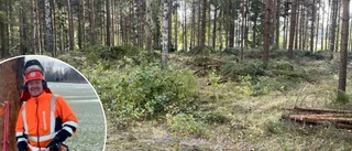 Nu försvinner delar av skogen i Laggarhult: "Vi har hur mycket som helst på gång"