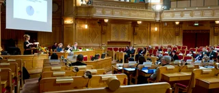 Blir kulturutskottet "skyltfönster" för SD?