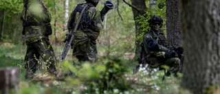 Försvaret kan inte fortsätta ta sina soldater för givna