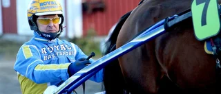 Travtipset: Storstjärna spikas i V5-2
