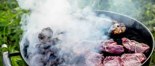 MSB vill stoppa grillning totalt