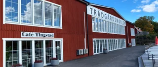 Tingstad Möbler satsar på året runt-butik 