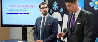 Sverigedemokraternas svarta hål