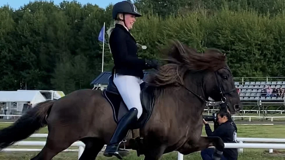 Jonna Andersson och Herakles tog sin första medalj tillsammans när gaedingakeppni-SM avgjordes.
