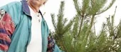 <I>Norrköping runt:</I>
Granna granar och glittrande träd