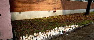 23-åringen erkänner visst våld