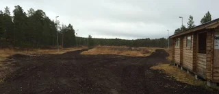 Nybarkat på Djuptjärn