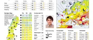Förödande okunskap om lappugglan