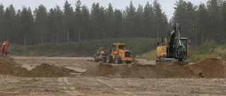Pannsand från Piteå eftertraktad
