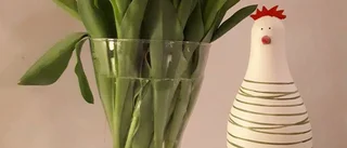 Lilla Hjärtats årsmöte med roligt påsklov