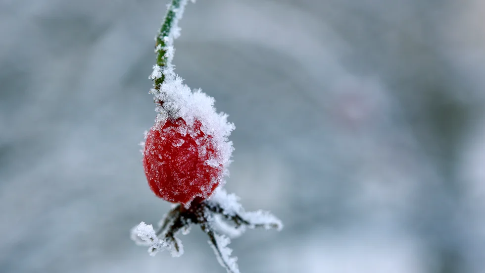 Det kommer en vinter. 