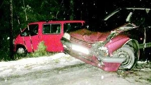 Foto: INGEMAR PETERSSON Skolbussen gick efter kollisionen av vägen och for ut i skogen, bland träd och elstolpar där den blev kraftigt demolerad. Även privatbilen fick omfattande skador. Den äldre mannen som körde privatbilen fördes i ambulans till Västerviks sjukhus sedan han klagat på bröstsmärtor.