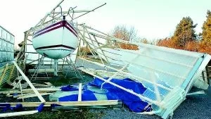 Stormskadorna efter Gudrun värderas till 6.5 miljoner kronor i Östergötland. Då ingår inte all den nedblåsta skogen.
FOTO: ROBERT SVENSSON (ARKIV)