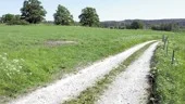 Många träd knäcktes i Vrinneviskogen över bland annat motionsspåren och den här stigen verkar lite farlig att promenera på, med ett tungt träd som hänger över stigen...