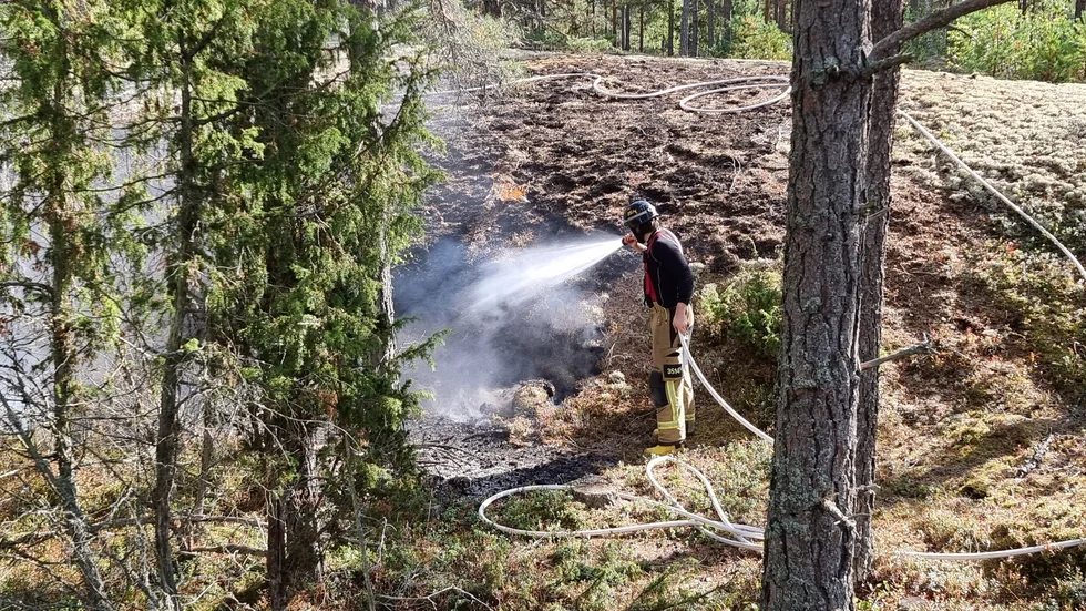 Räddningstjänsten började omgående vattenbegjuta området. 