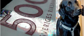 Nu höjs hittelönen för Essie till det dubbla