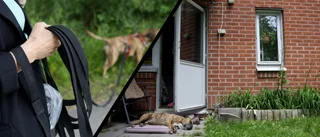 Anna är utbränd med två diagnoser – orkar endast gå ut med hunden