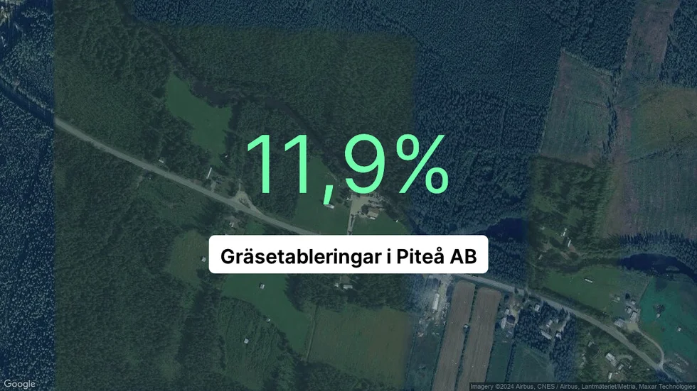 Illustrationen visar rörelsemarginalen för Gräsetableringar i Piteå för det senaste året. Bakgrunden är en satellitbild över företagets adress.