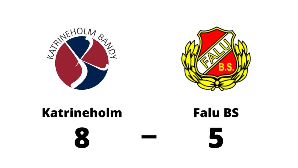 Katrineholm Bandy vann mot Falu BS BK