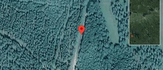 Flera fordon i trafikolycka på väg 553