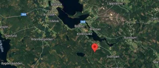 Räddningstjänsten larmades till skogsbrand: "Åskar och blixtrar"
