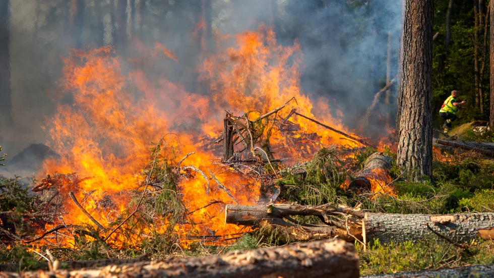 Två larm om skogsbrand i Jokkmokksfjällen inkom under måndagen. Bilden är tagen på en annan plats vid ett annat tillfälle.