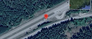 Varnar för rådjur på vägen på E4