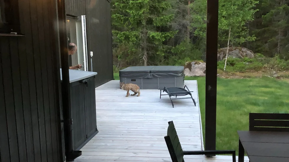 Mannen i huset försökte skrämma bort lodjuret genom att öppna och stänga altandörren.