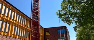 Politiker har alltid älskat stora hus