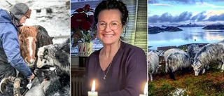 Eva, 61, från Kalix hittade kärleken på en ö ute i Nordsjön
