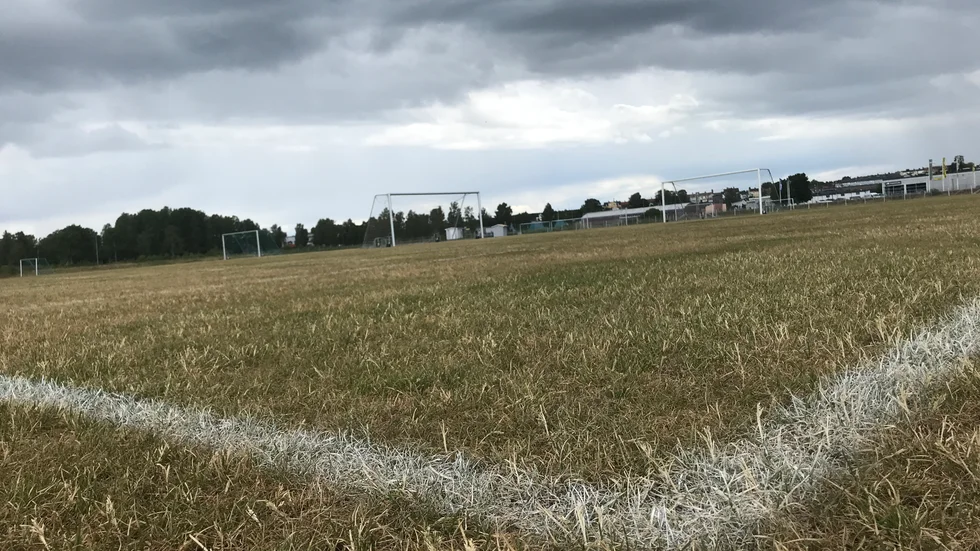 Planerna på Ceos lider av bevattningsförbudet som läget är nu.