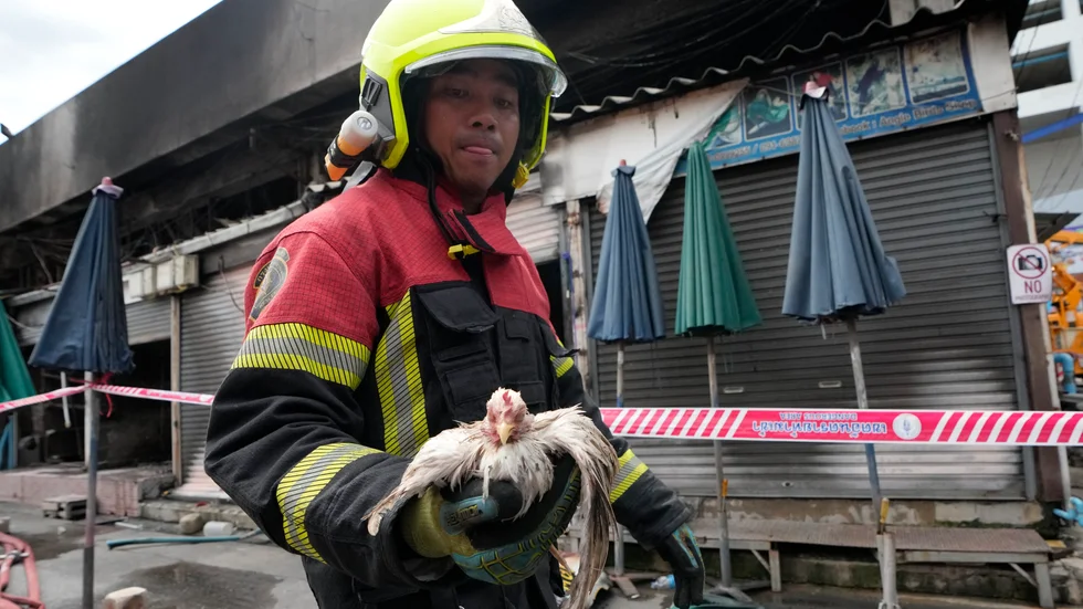 En thailändsk brandman håller upp en kyckling som överlevde branden på Chatuchak-marknaden i Bangkok.