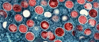 Kina skärper mpox-kontroller
