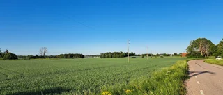 Uppsala kommun fortsätter förstöra bördig åkermark