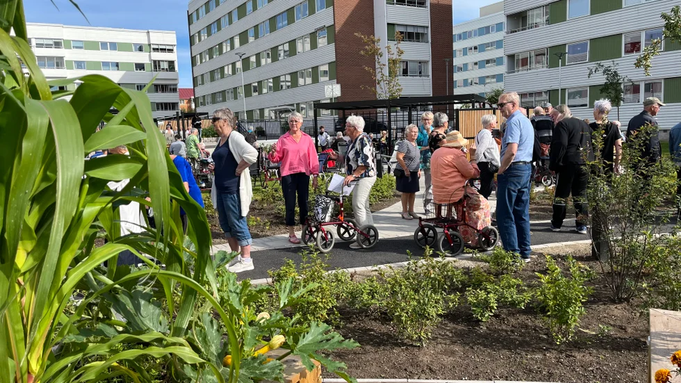 Vid invigningen av de nybyggda innergårdarna bjöds det på fika, tipsrunda, tal, och musik på Centrumområdet och evenemanget lockade hundratals. 