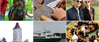 Aktiviteterna för hela familjen, oavsett väder
