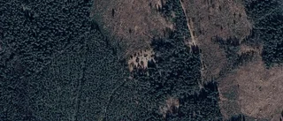 Ägarbyte för tomten på Mossnäs 639 i Vimmerby