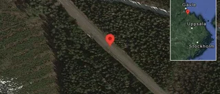 Problem i trafiken efter nedfallna träd på väg 76